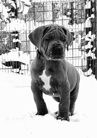 50d7fbc3-2b4c-4701-8d91-ca8c87479acd