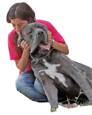 f3bd4b25-80ca-4a60-98aa-cdbd0dbf285c