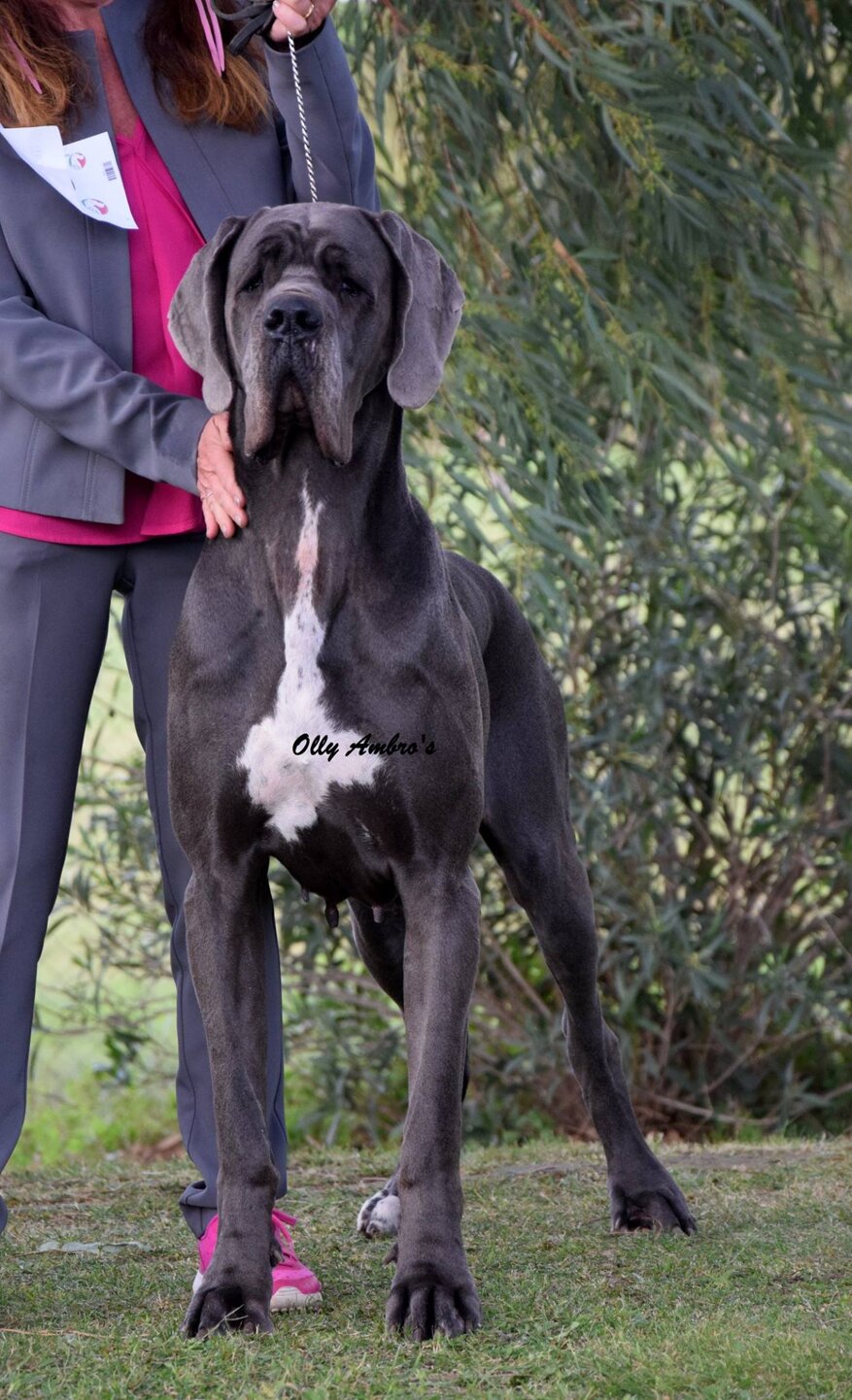 6e9e4d16-2aeb-4cb5-a4d1-a4d1cd6272e9