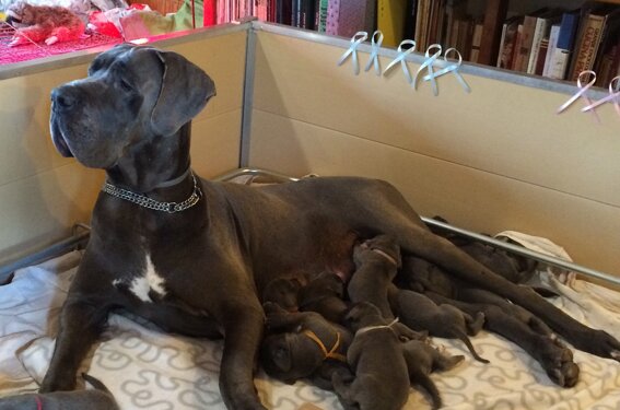 6e044b44-36ea-4324-ae70-f3930c35eb47