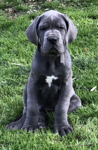 9b151061-138a-478b-a554-c845bf6cc1b1