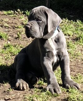 28022108-96ef-4452-a8dc-4539f4427c95