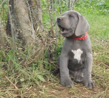 a4ca9f3e-1189-4a9b-a523-d61c555b0a35