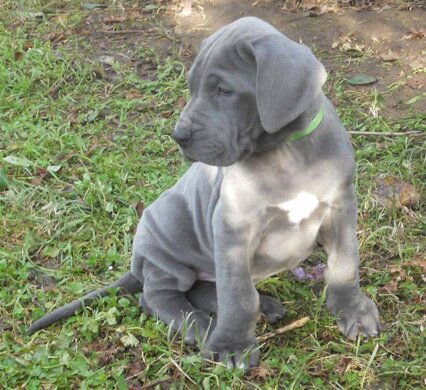 fd2df799-2941-4550-bcb9-4505dd081ea5