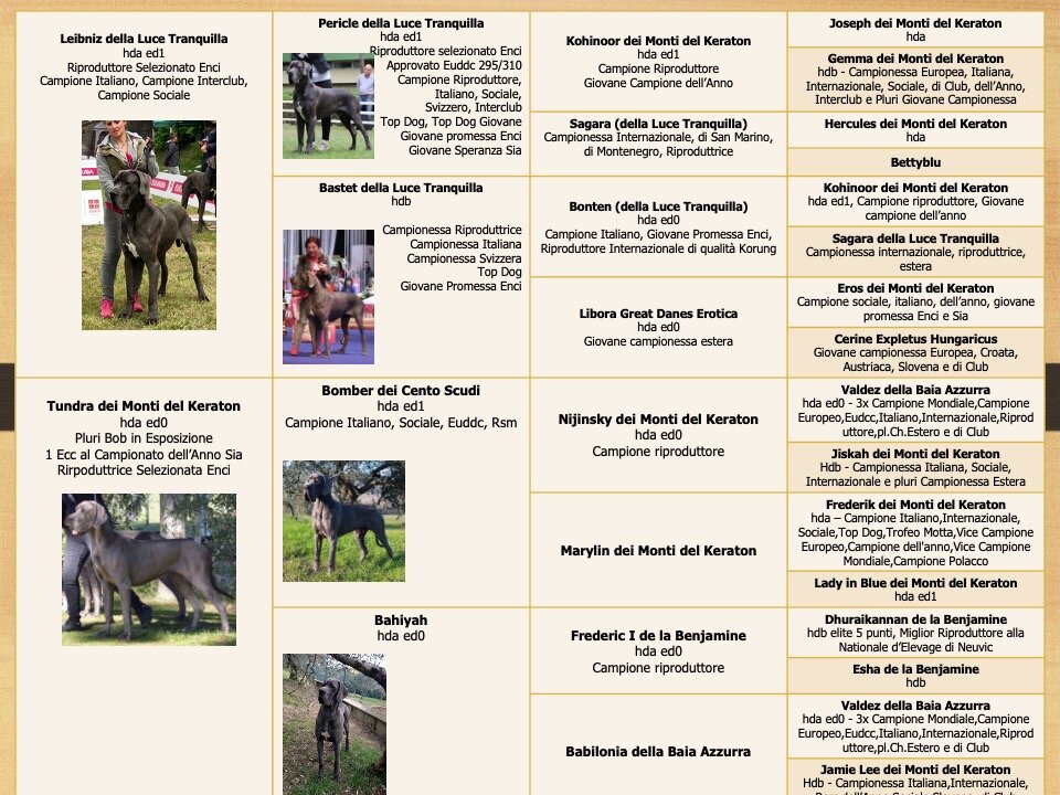 9311708f-616c-47fa-b0c9-a84e0a4d3008