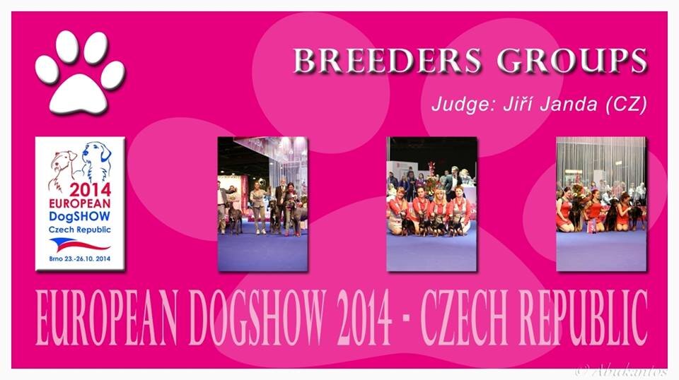 accc6ca5-548a-4962-a2dc-b184b8ddca63