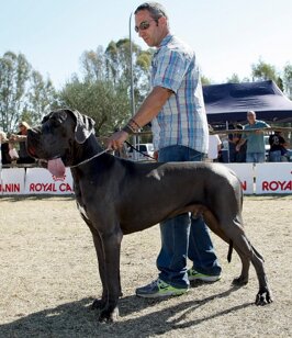 01e6d3fd-578e-4068-92e6-14adbe950b46