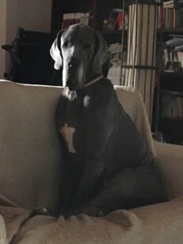 40b63380-c4d4-4907-979c-3b6c8b0a9ff8