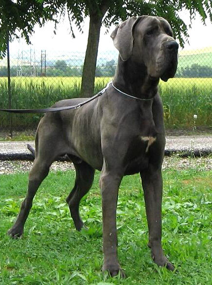 63e891c0-d034-466a-9778-6a75351a6b97