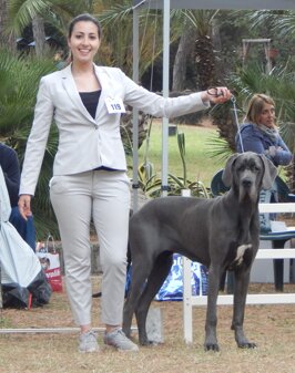 82828e9b-0c08-4b27-807e-71b584a3274e