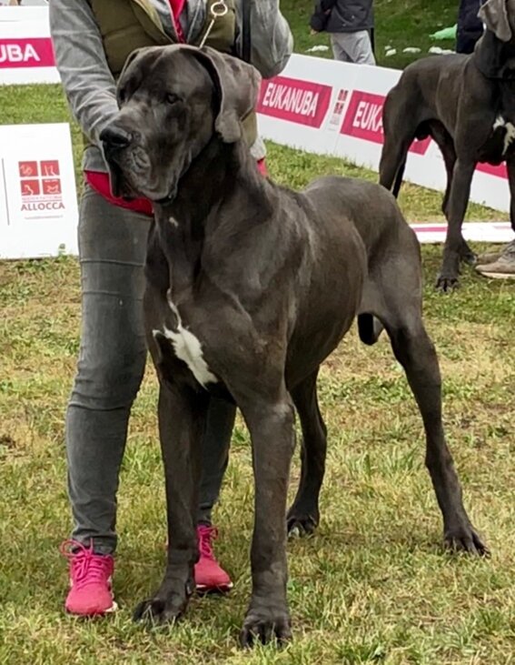 9bd439cb-0f2c-48c5-b1ca-f77d239ac4d9