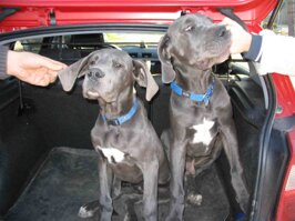 427930f3-f322-4b61-b99e-c4a973806034