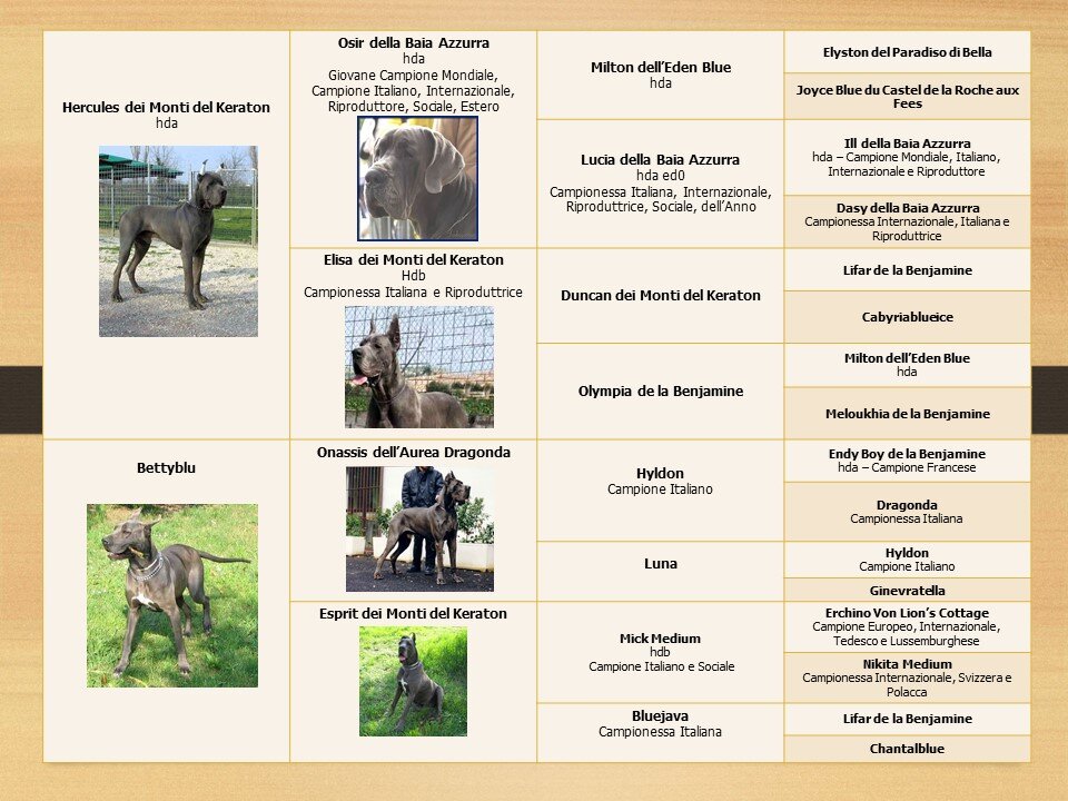 b7a68c90-009b-4387-b6ad-f419c3fb1aee