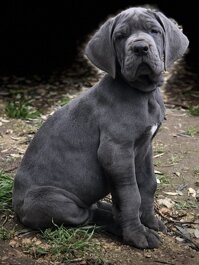 d962f047-d50b-4d23-97f8-d3a1e2e30e99