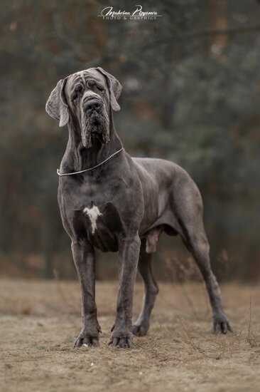 e7060eb7-4cad-4be9-aa21-2df7bec7d3c0