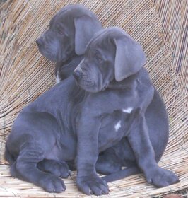 21c3a6f3-e56e-43f1-8570-de32026f37e5