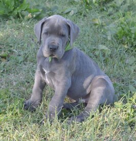 d323bab7-18a7-4b8d-b9b5-71bf0e82a24e