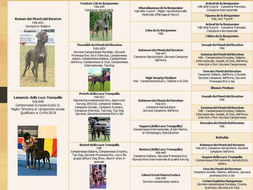 ab54808f-6496-4a6b-80c6-83a5b15cb687