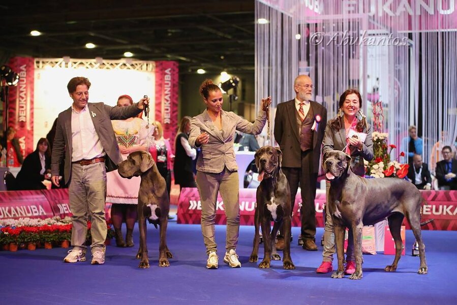 b74fccfb-4c94-4e57-aa46-3196f3982c30