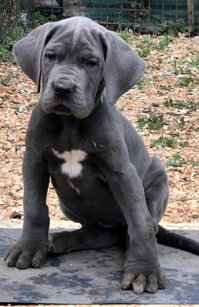 34d24cd4-1d9a-4b67-9e9d-02b3ff64d992