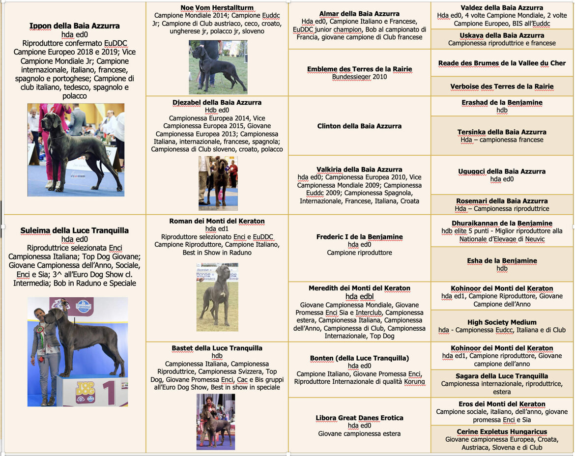 0a73ec12-5646-403c-8a42-a39c4c7ef1ef