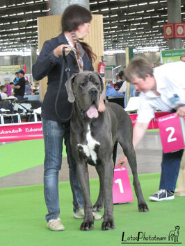 3fb5fd14-22d2-4e2f-a586-6a9b93e84248