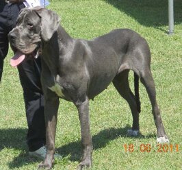 20ef7f49-aa68-4afa-a90e-30fec176fe12