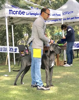 3f5c70af-ef53-4d7b-b843-fc5fd02382b1