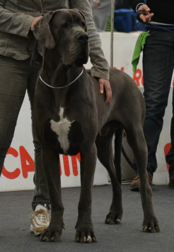 b394a987-8fa8-46e6-9e68-c3a26b66c2bb