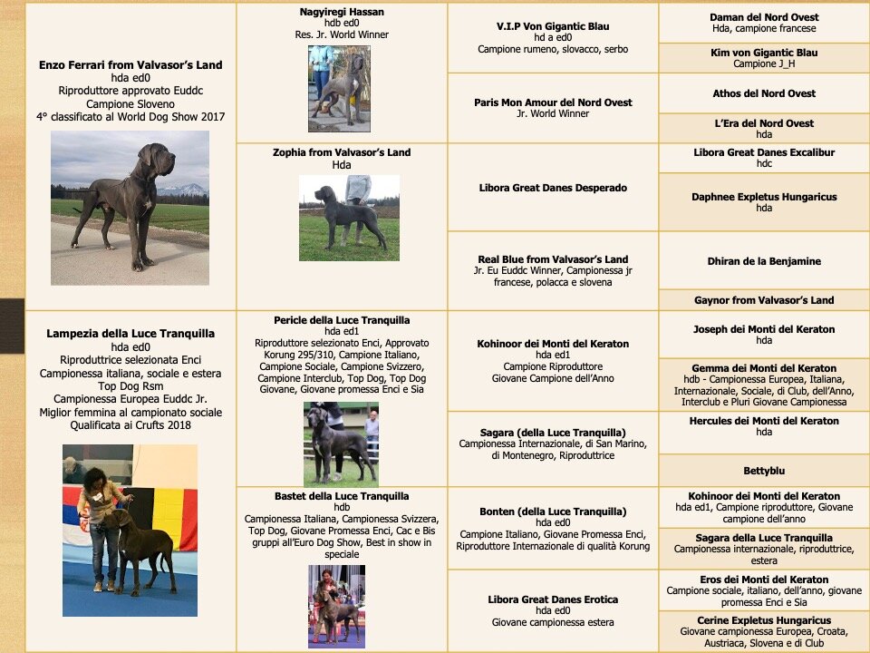 d4b25201-aa7e-426b-a52c-634d6bde762d