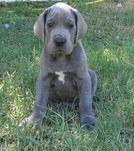 56c18419-ab36-48af-9a04-989e40f17b6c