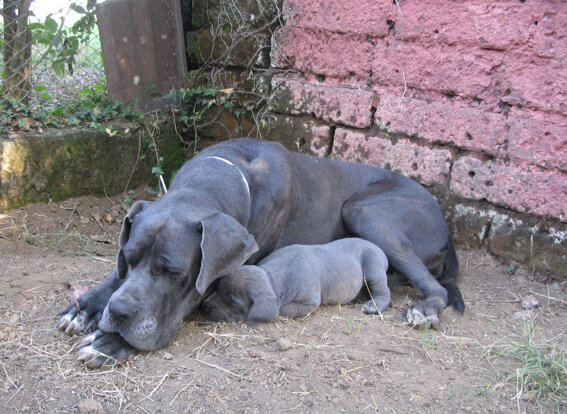 df249f85-d729-4847-a20c-a9b12fd92d58