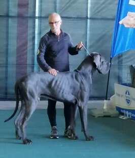 eaa55492-6c09-4dca-8429-e093879bf5ef