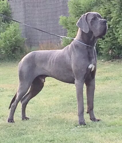 e1f6cfbe-d582-4c1e-9940-d2cfd716dd27