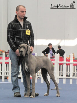 47506af5-035f-4de6-94ea-1af911390bd5