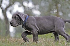 71c2e83b-47a0-4069-a504-3df005a42c43