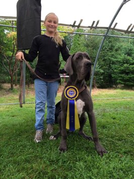 acaba5b7-fe08-4369-a0b5-ef797c033201