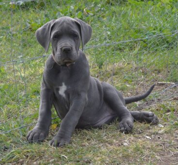 1cf4d70f-f702-4155-baab-fd63f7034456