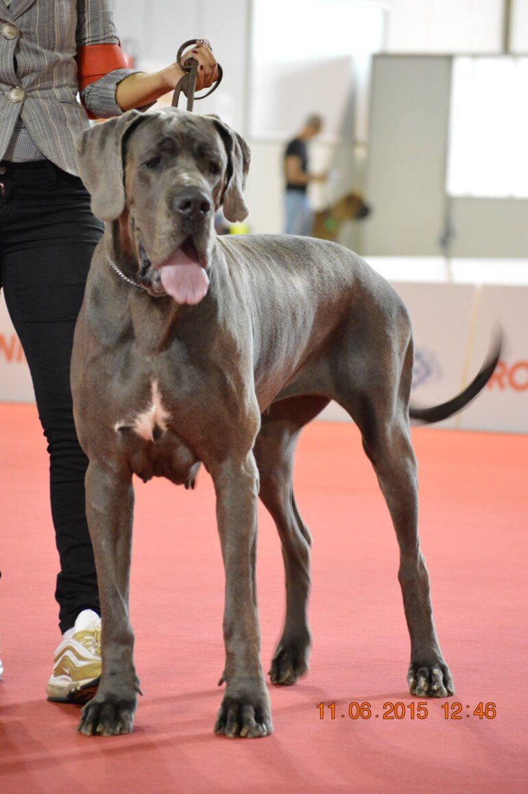 3fd83bf6-6a7a-4955-b405-4b4defdfabe9