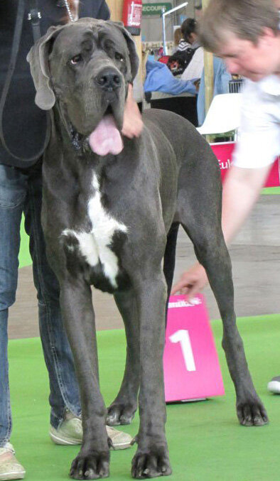 004c385f-bf8e-4ba1-8be1-68dac0dbf6ed