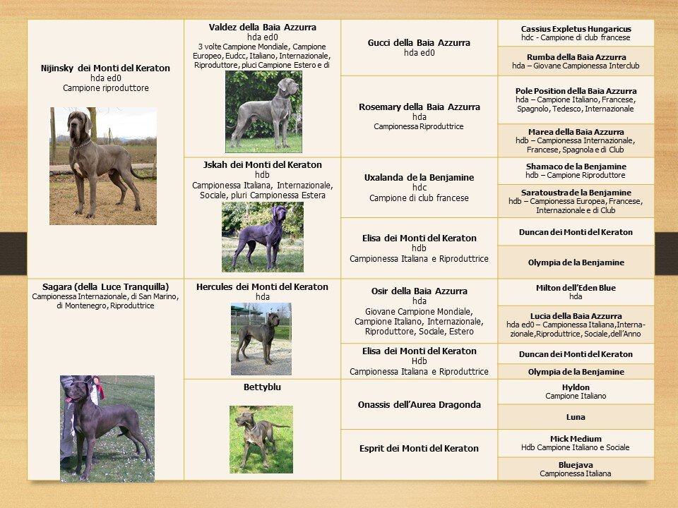 6f0f5d6b-9564-46eb-85d0-44998e213bb8