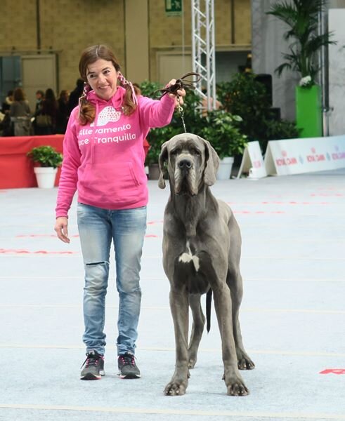 bb4f821d-9332-453f-9889-8046ab469e32