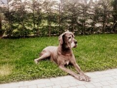 2254bfd9-7304-427f-8103-9c21abf32cf8