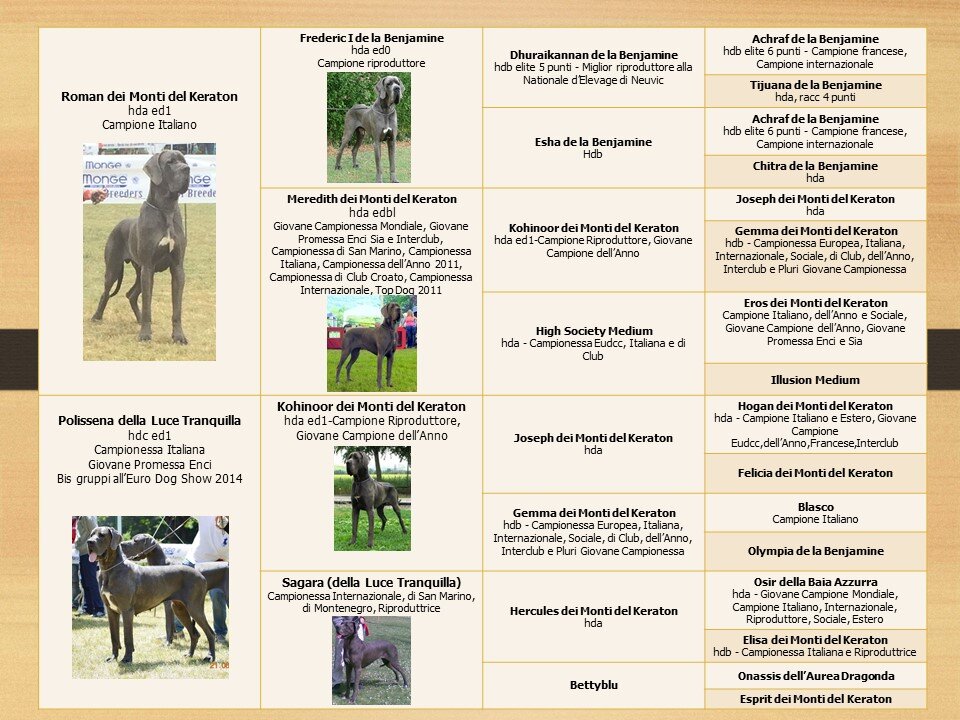 c9cd3cc3-27cb-49cc-8d64-f1dcee7d8f2b