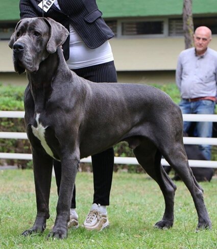 32059ba1-e9a9-438e-9f1f-08ad675e09dd