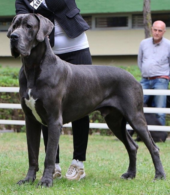 ab699eb6-1de6-46e0-b3f2-92bc0dd748e6