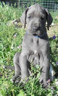 29d16ac4-2874-4bba-a3d9-1679843b40b9