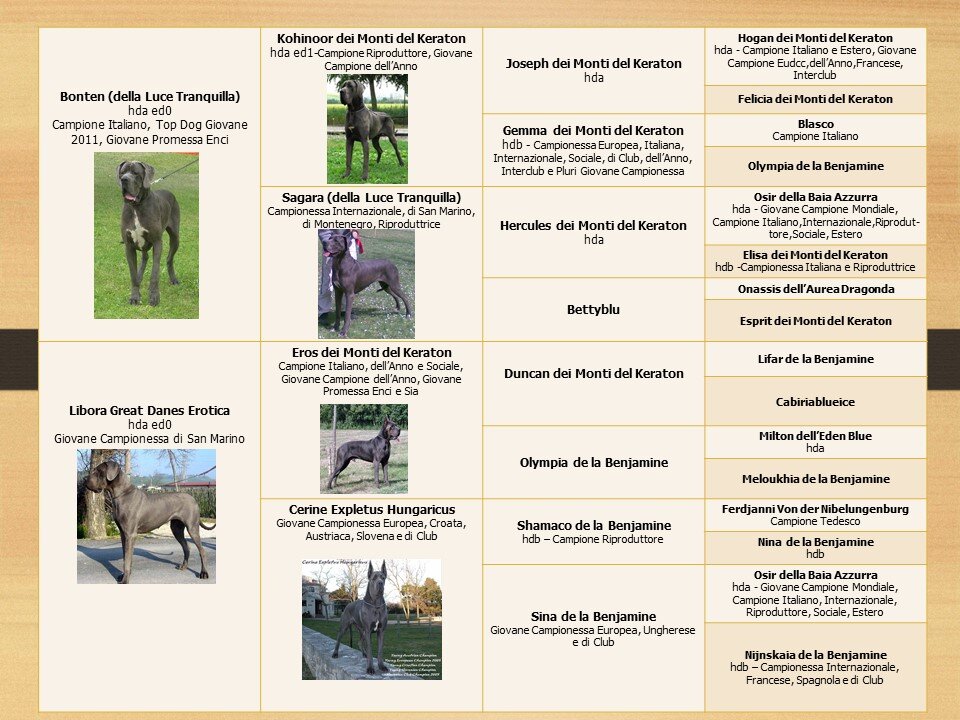 11ef023d-8085-4072-98f3-8a59d041f931