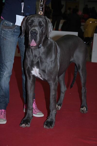 c26caf5d-adba-4906-b38c-ca95eae8cf6b