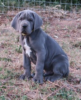 01d9b416-3798-41f8-8e2e-73dc2e37b23e